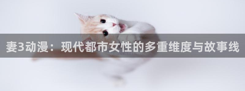 @omofun：妻3动漫：现代都市女性的多重维度与故事线